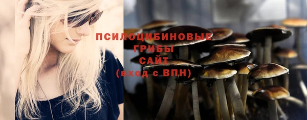 стаф Бугульма